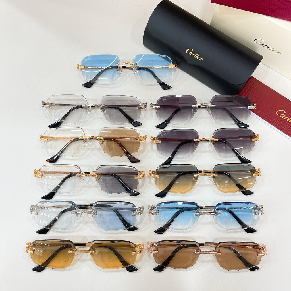 Cartier CT0804S Photochromic Fashion Black Lens Sunglasses for Men & Women - detail image 3