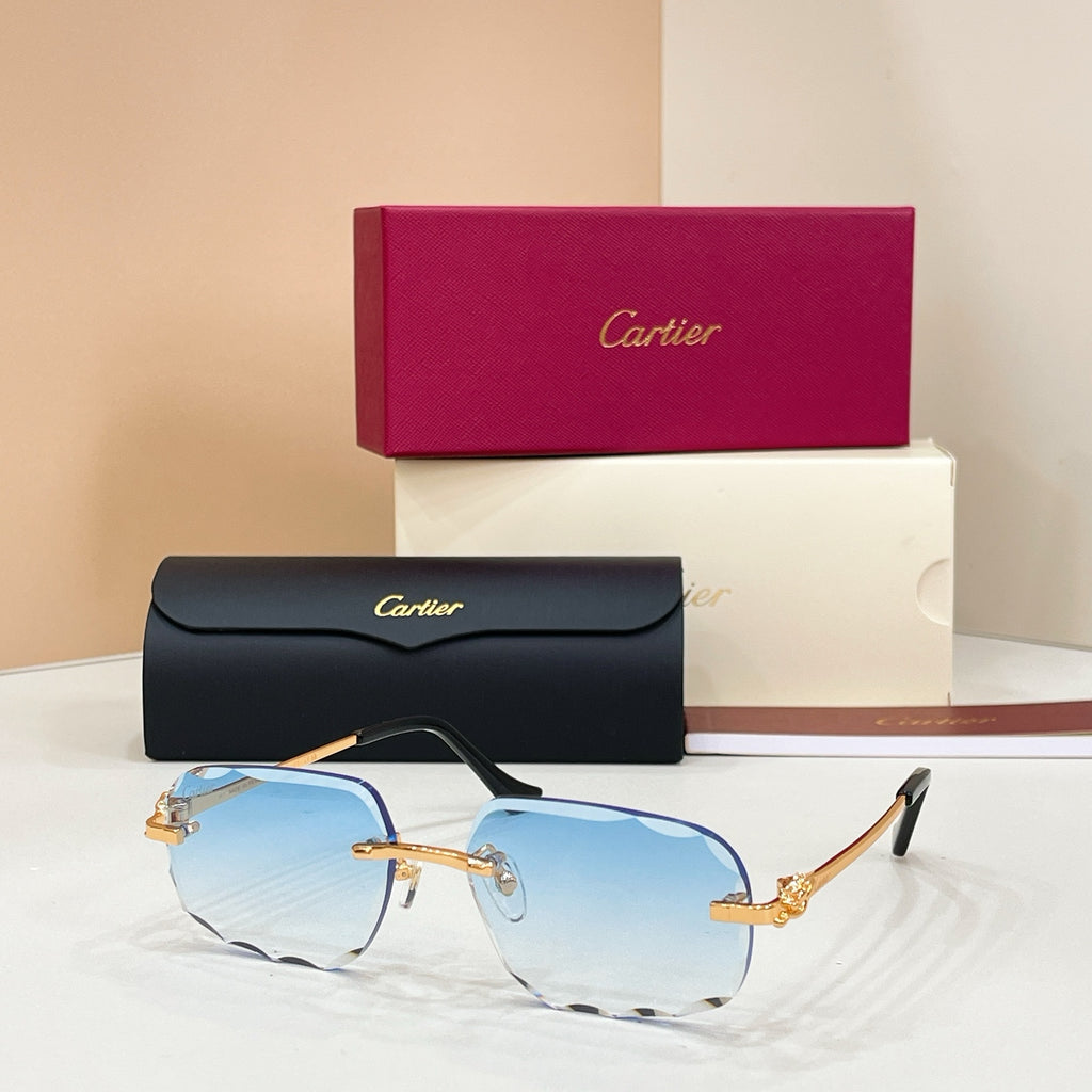 Cartier CT0804S Photochromic Fashion Black Lens Sunglasses for Men & Women - detail image 2
