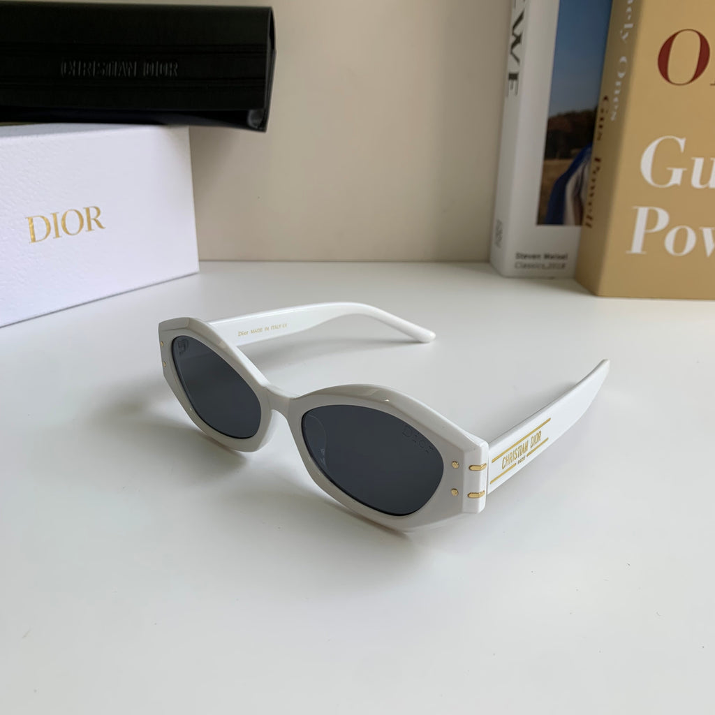 Dior Polarized Cat-Eye Silver Lens Sunglasses for Men & Women - detail image 2