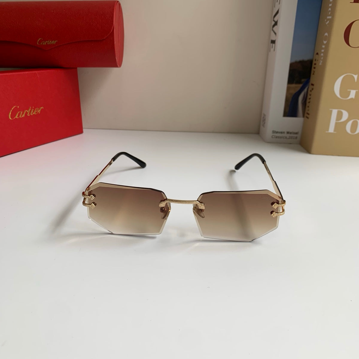Cartier Fashion Brown Lens Sunglasses for Men & Women - 432271 - detail image 3