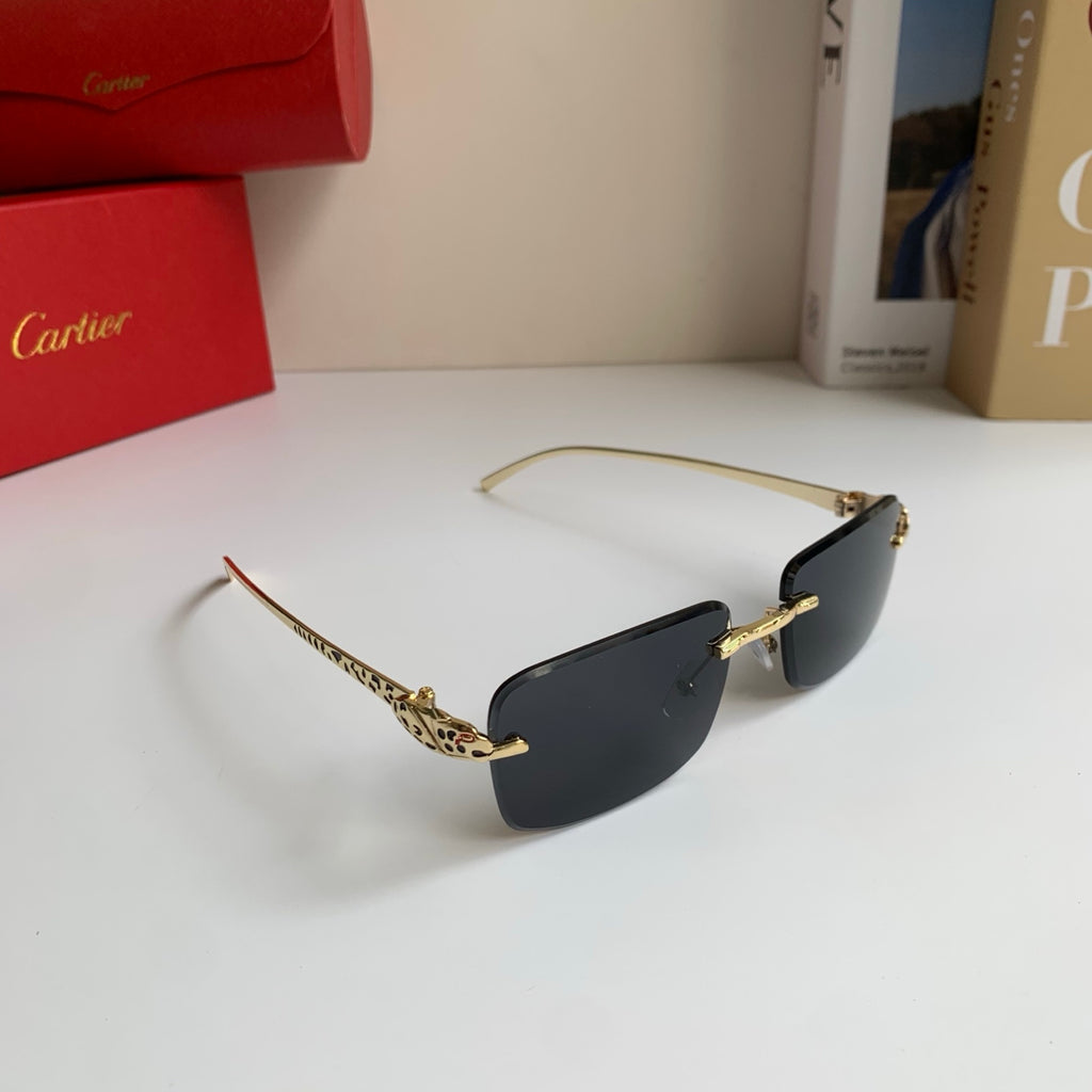 Cartier Square Silver Lens Sunglasses for Men & Women - 382854