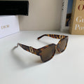 Dior Square Brown Lens Sunglasses for Men & Women